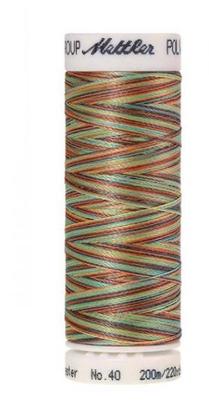 Amann Mettler Poly Sheen Multi Coastal Mix 200m